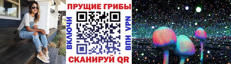 Галлюциногенные грибы прущие грибы  где купить наркотик  Кадников 